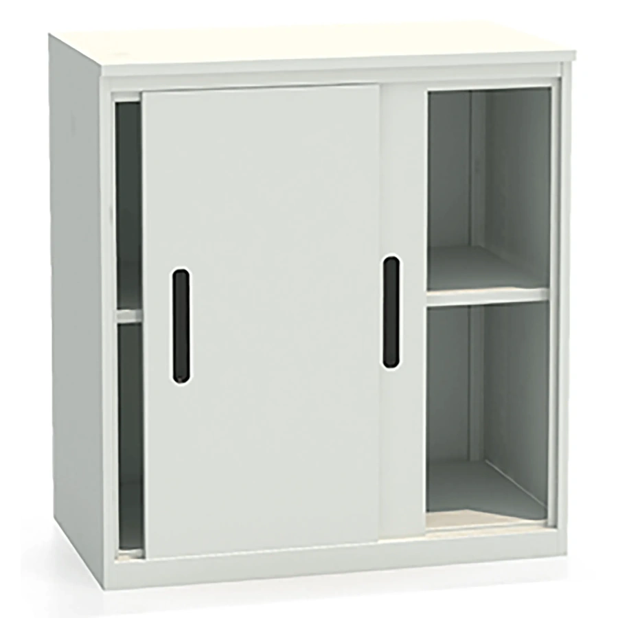 Шкаф-купе архивный ALS-8896